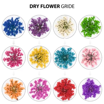 Shills Professional Dry Flower for Nail Art