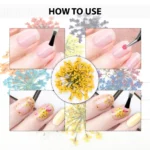 White Sugar Beauty World (55) (1)