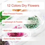 White Sugar Beauty World (55) (1)