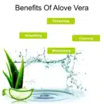 White Sugar Beauty World (48) (1)