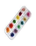 Shills Professional Dry Flower for Nail Art Myler-12pcs