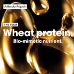 L’Oréal Professionnel Serie Expert Absolut Repair Serum