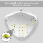 White Sugar Beauty World (6) (1)