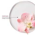 White Sugar Beauty World – 2025-12-26T171034.584 (1)