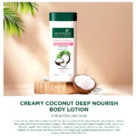 White Sugar Beauty World – 2025-12-23T172254.874 (1)