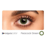 White Sugar Beauty World – 2025-12-21T103307.471 (1)