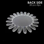 White Sugar Beauty World – 2026-02-05T151408.986