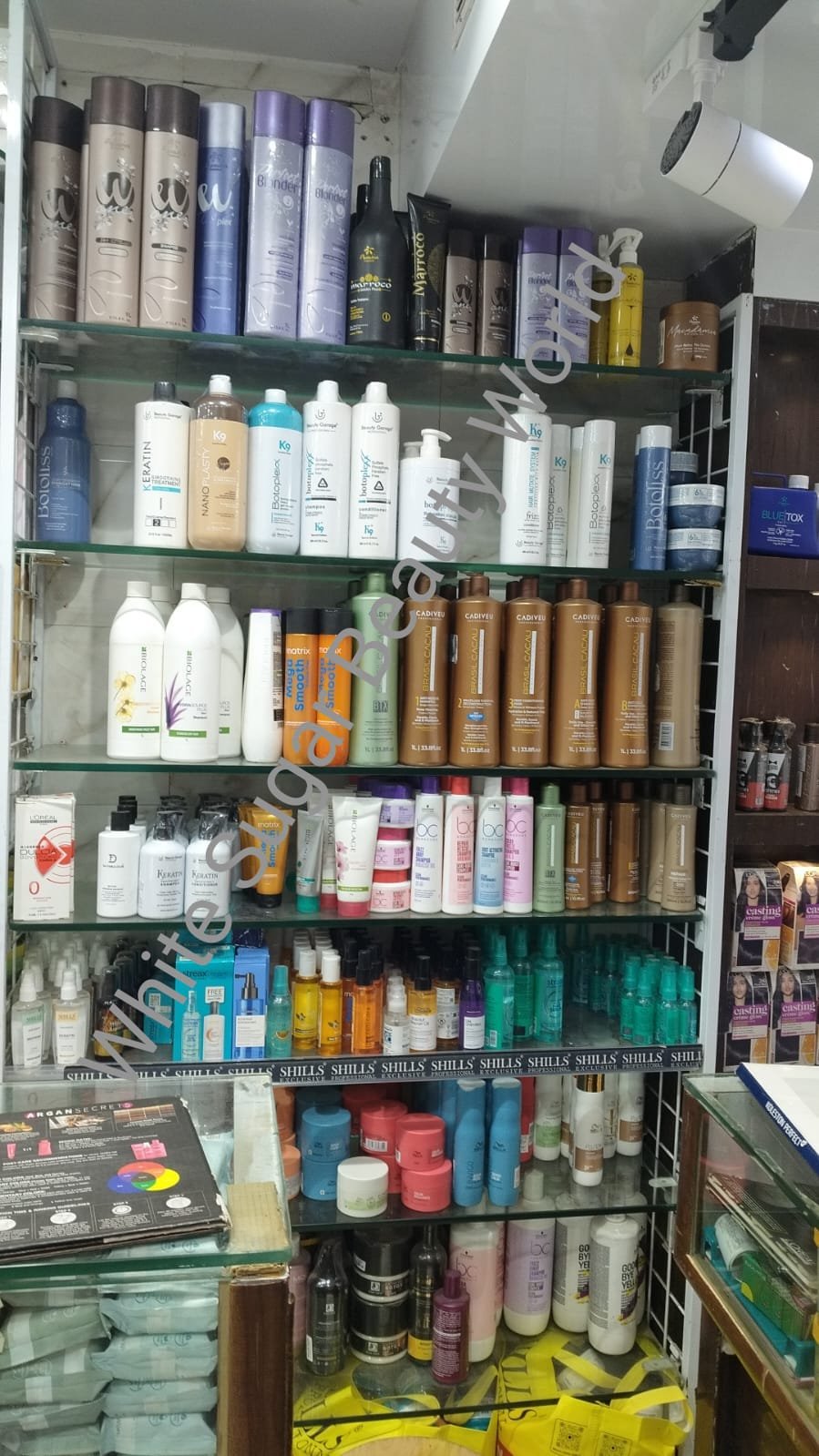 WhatsApp Image 2026-02-23 at 17.33.00