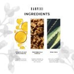 White Sugar Beauty World – 2026-02-08T162842.976