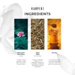 White Sugar Beauty World – 2026-02-09T172524.088