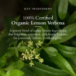 White Sugar Beauty World – 2026-03-14T181731.643