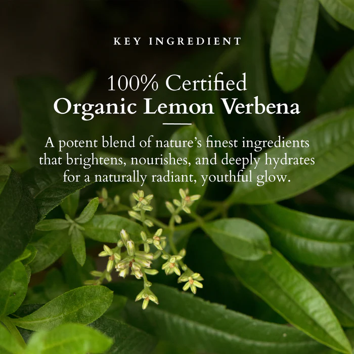 Lotus Organics+ Vitamin-C Glow Face Oil-