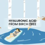 White Sugar Beauty World – 2026-03-29T182045.776