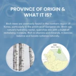 White Sugar Beauty World – 2026-03-29T182045.776