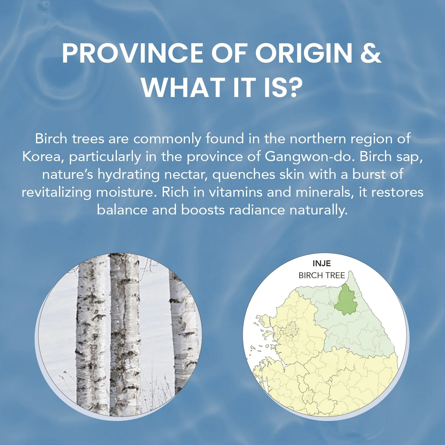 O3+ Mijoo Korea Glass Glow Facial Kit with Birch Tree Sap & Hyaluronic Acid4