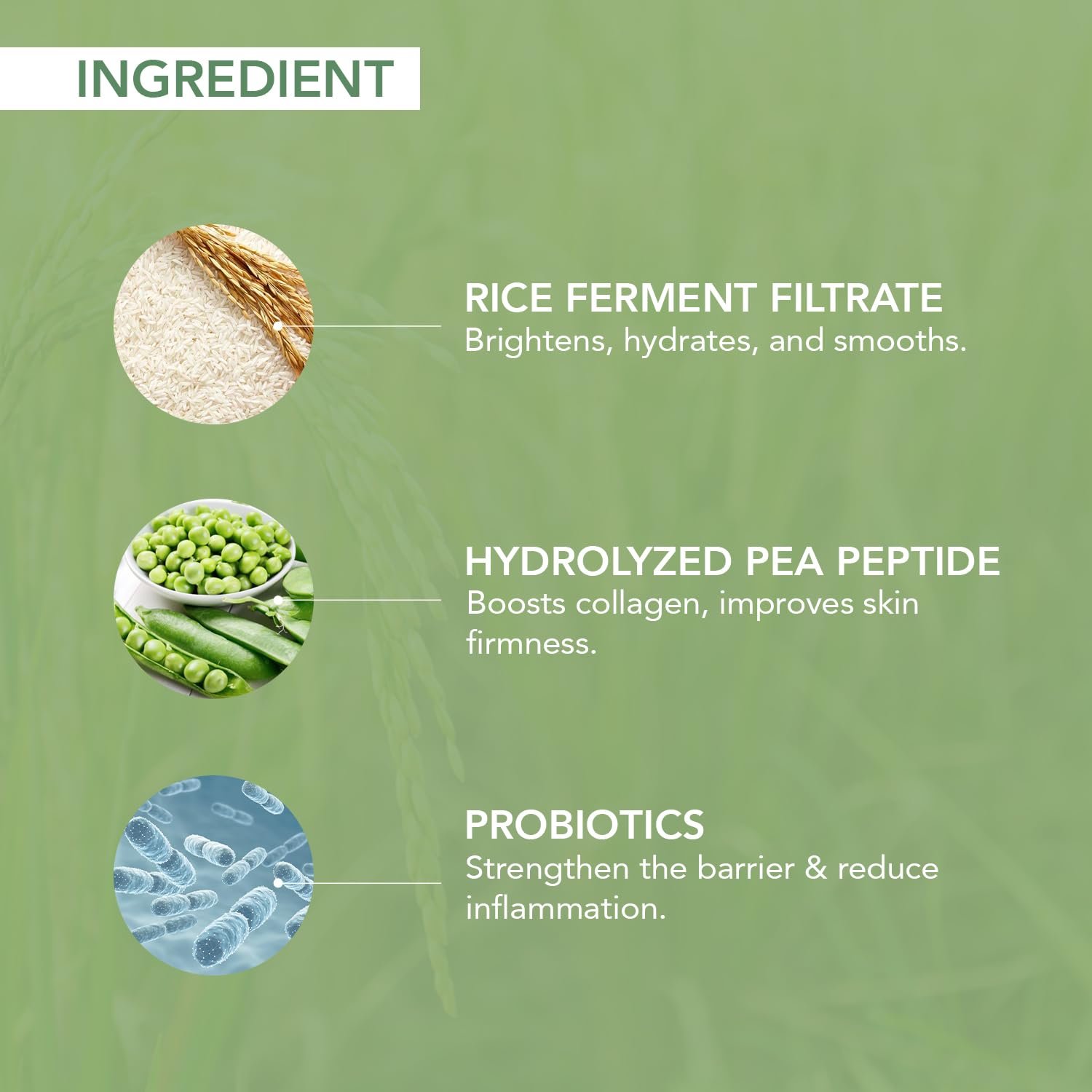 O3+ Mijoo Korea Glass Glow Facial Kit with Rice Water & Probiotics 1