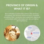 White Sugar Beauty World – 2026-03-29T180909.085