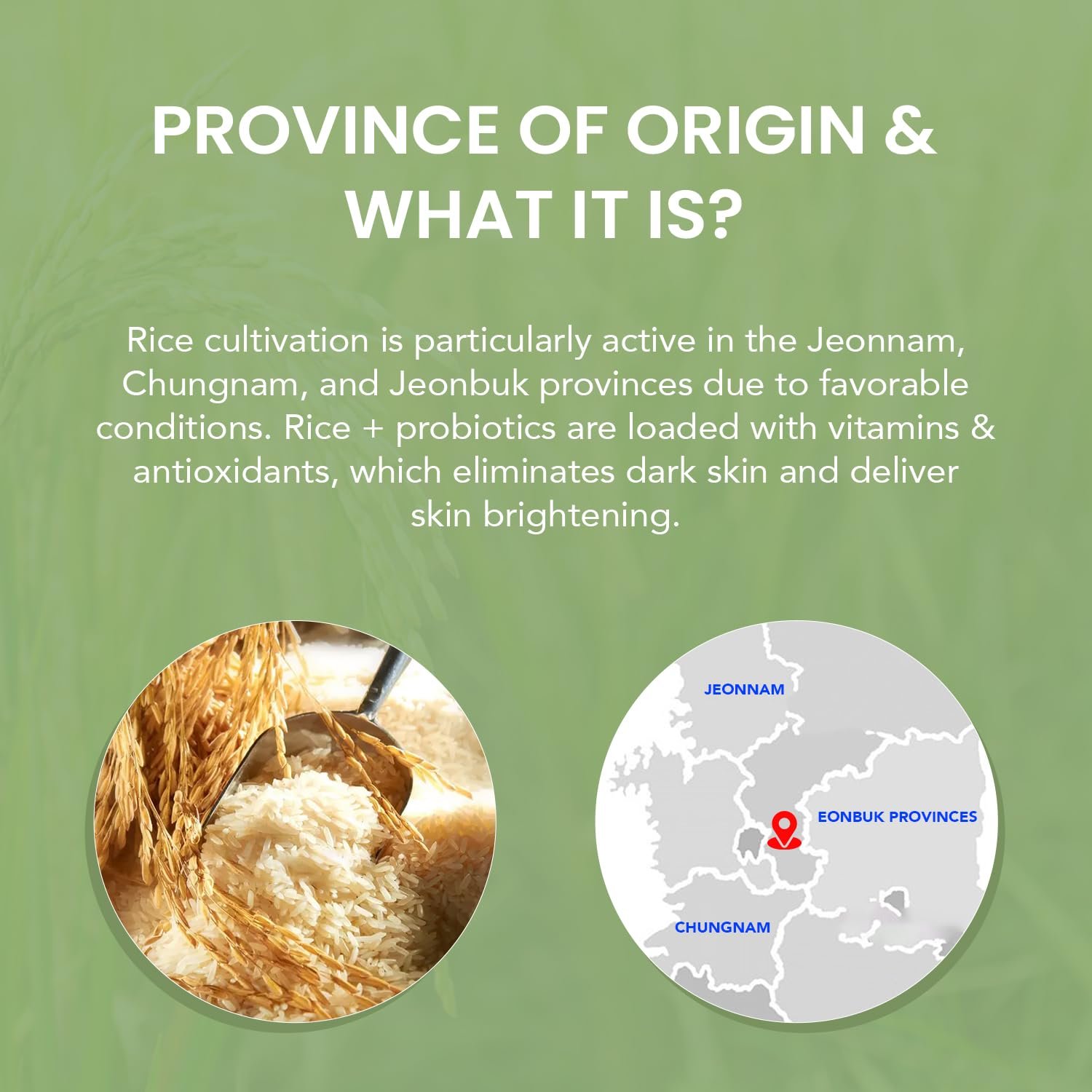 O3+ Mijoo Korea Glass Glow Facial Kit with Rice Water & Probiotics 5