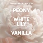 White Sugar Beauty World – 2026-03-20T173127.745