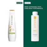 Untitled design (17)