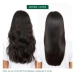 Untitled design (15)