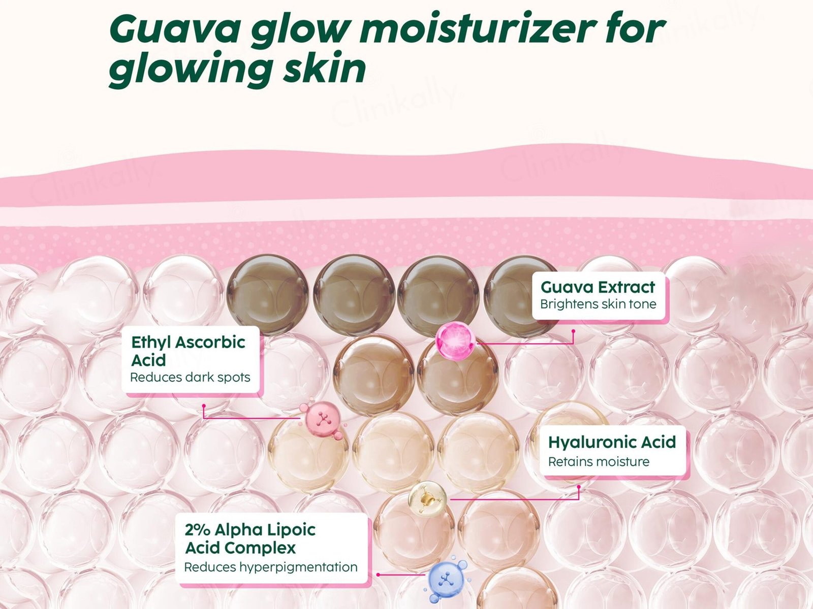 PlixGuavaGlowSmoothieMoisturizer50gm4