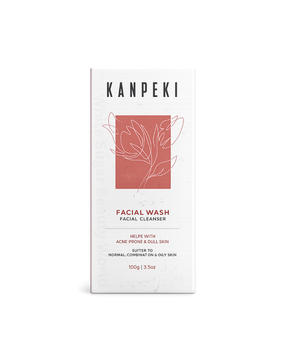 White Sugar Beauty World - 2026-08-10T095802.393 Kanpeki Facial Wash Cleanser-100g
