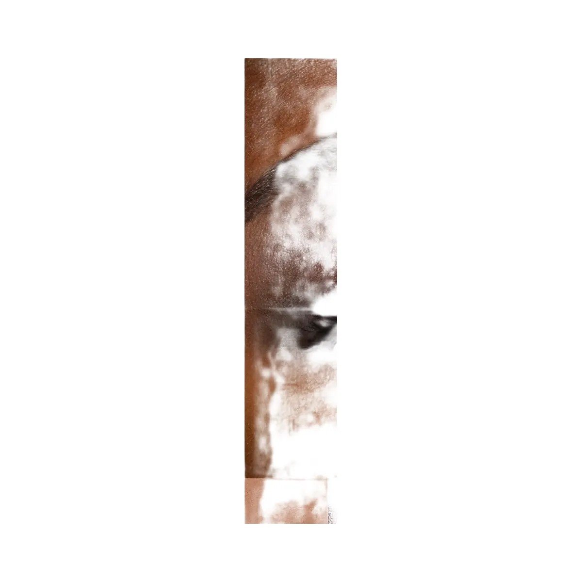Test_030f8498de
